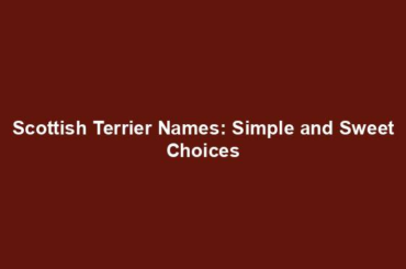 Scottish Terrier Names: Simple and Sweet Choices