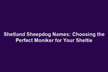 Shetland Sheepdog Names: Choosing the Perfect Moniker for Your Sheltie