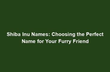 Shiba Inu Names: Choosing the Perfect Name for Your Furry Friend