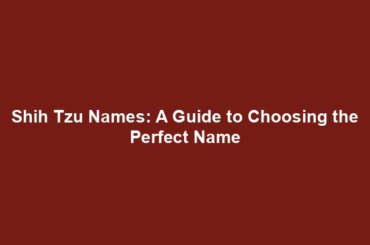 Shih Tzu Names: A Guide to Choosing the Perfect Name