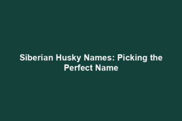 Siberian Husky Names: Picking the Perfect Name