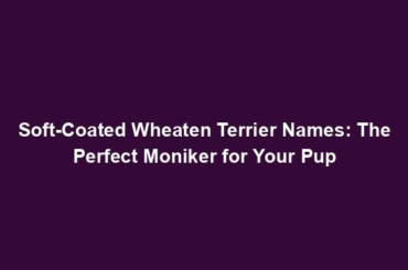 Soft-Coated Wheaten Terrier Names: The Perfect Moniker for Your Pup