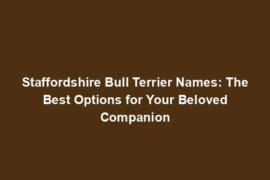 Staffordshire Bull Terrier Names: The Best Options for Your Beloved Companion