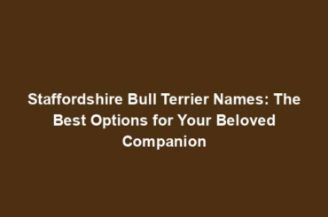 Staffordshire Bull Terrier Names: The Best Options for Your Beloved Companion