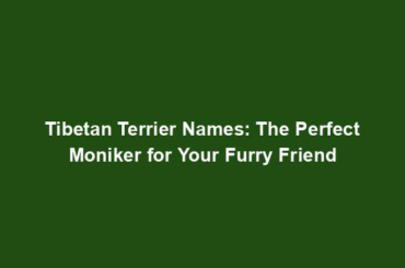 Tibetan Terrier Names: The Perfect Moniker for Your Furry Friend