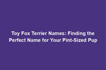 Toy Fox Terrier Names: Finding the Perfect Name for Your Pint-Sized Pup