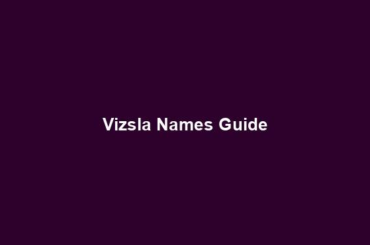 Vizsla Names Guide