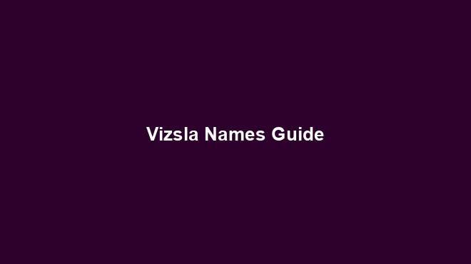 Vizsla Names Guide