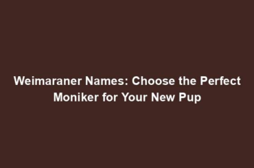 Weimaraner Names: Choose the Perfect Moniker for Your New Pup