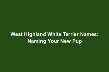 West Highland White Terrier Names: Naming Your New Pup