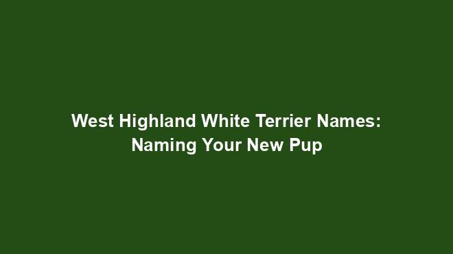 West Highland White Terrier Names: Naming Your New Pup