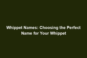 Whippet Names: Choosing the Perfect Name for Your Whippet