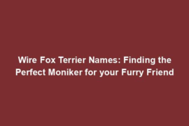 Wire Fox Terrier Names: Finding the Perfect Moniker for your Furry Friend