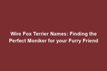 Wire Fox Terrier Names: Finding the Perfect Moniker for your Furry Friend