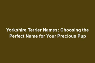 Yorkshire Terrier Names: Choosing the Perfect Name for Your Precious Pup