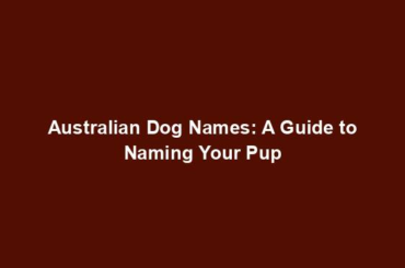 Australian Dog Names: A Guide to Naming Your Pup