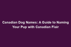 Canadian Dog Names: A Guide to Naming Your Pup with Canadian Flair