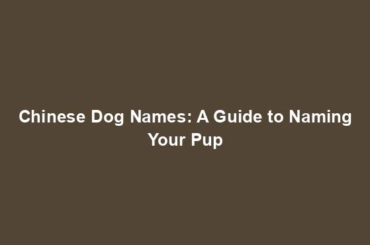 Chinese Dog Names: A Guide to Naming Your Pup