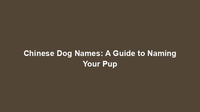 Chinese Dog Names: A Guide to Naming Your Pup