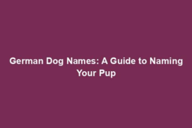 German Dog Names: A Guide to Naming Your Pup