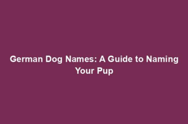 German Dog Names: A Guide to Naming Your Pup