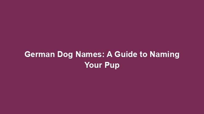 German Dog Names: A Guide to Naming Your Pup
