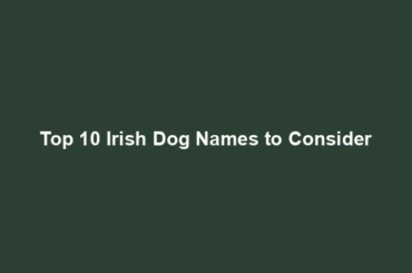 Top 10 Irish Dog Names to Consider