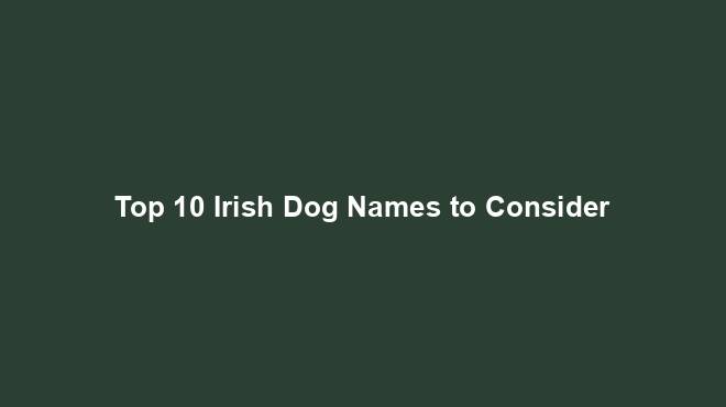 Top 10 Irish Dog Names to Consider