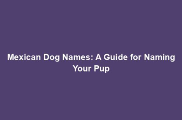 Mexican Dog Names: A Guide for Naming Your Pup