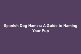 Spanish Dog Names: A Guide to Naming Your Pup