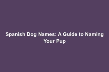 Spanish Dog Names: A Guide to Naming Your Pup