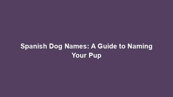 Spanish Dog Names: A Guide to Naming Your Pup